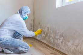 Best Crawl Space Mold Remediation  in Fort Calhoun, NE