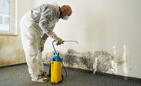 Best Residential Mold Inspection & Testing  in Fort Calhoun, NE