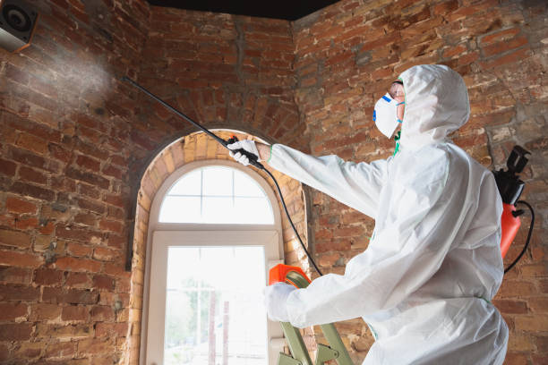 Best Mold Removal for HVAC Installations  in Fort Calhoun, NE